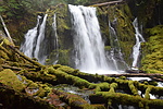 photo thumbnail #12