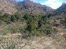 photo thumbnail #3