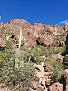 photo thumbnail #8