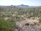 photo thumbnail #4