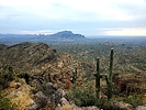 photo thumbnail #7