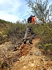 photo thumbnail #9