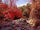 photo thumbnail #8
