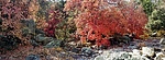 photo thumbnail #10