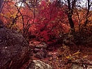 photo thumbnail #11