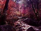 photo thumbnail #9