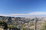 photo thumbnail #7