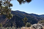 photo thumbnail #11