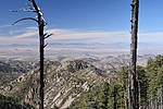 photo thumbnail #14