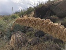 photo thumbnail #5
