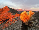 photo thumbnail #2
