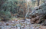 photo thumbnail #7