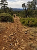 photo thumbnail #8