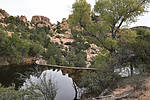 photo thumbnail #6