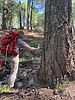 photo thumbnail #10
