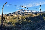 photo thumbnail #6