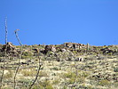 photo thumbnail #8