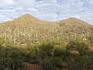 photo thumbnail #5
