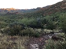 photo thumbnail #5