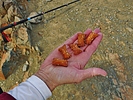 photo thumbnail #10
