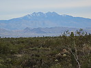 photo thumbnail #10