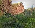 photo thumbnail #6
