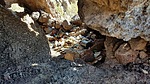 photo thumbnail #11