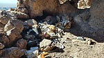 photo thumbnail #12