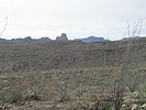 photo thumbnail #13