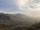 photo thumbnail #1