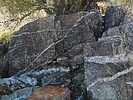photo thumbnail #15
