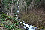 photo thumbnail #2