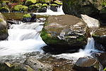 photo thumbnail #12