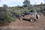 photo thumbnail #1