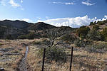 photo thumbnail #6