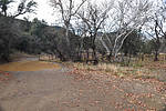 photo thumbnail #13