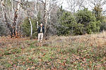 photo thumbnail #15