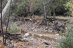 photo thumbnail #9