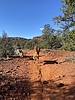 photo thumbnail #2