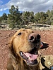 photo thumbnail #9