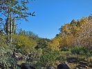 photo thumbnail #11