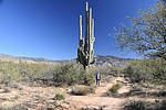 photo thumbnail #3