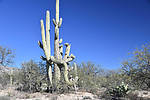 photo thumbnail #4