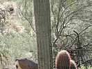 photo thumbnail #5