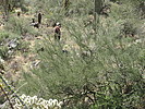 photo thumbnail #7