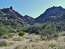 photo thumbnail #15