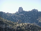photo thumbnail #13