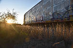 photo thumbnail #14