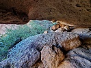 photo thumbnail #13