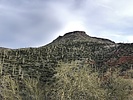 photo thumbnail #4